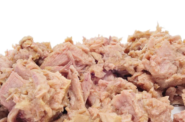 stock image Tuna on a white background