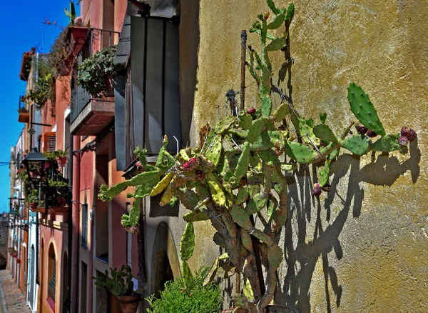 Gamla stan i tarragona, Spanien — Stockfoto
