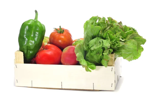 Kiste mit Bio-Gemüse — Stockfoto