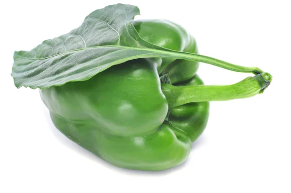 Groene peper — Stockfoto