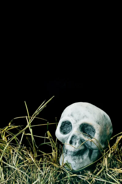 Cadılar Bayramı kafatası — Stok fotoğraf