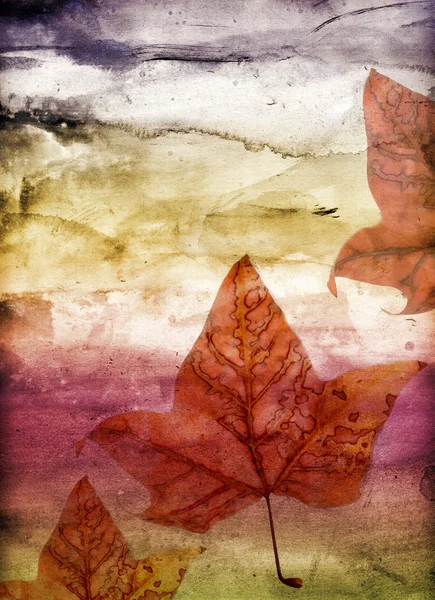Fond avec feuilles d'automne — Photo