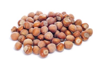 Hazelnuts in shell clipart