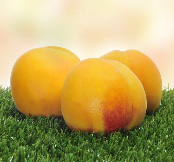 Персики на траве — стоковое фото