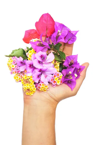 Giving flowers — Stock Photo, Image