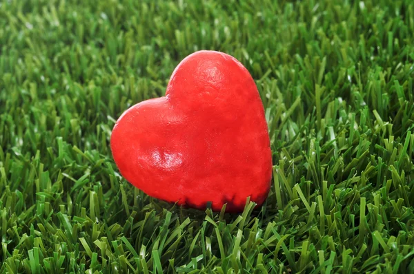 Hjärtat på gräset — Stockfoto