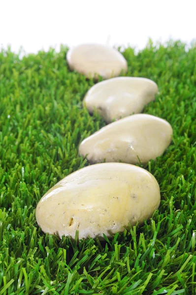 Stones on the grass — Stock Photo, Image