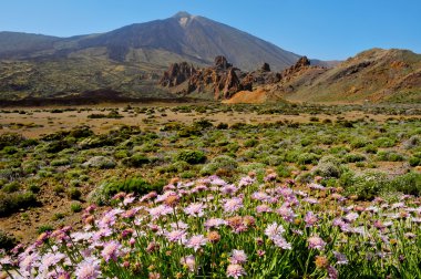 Mount Teide, in Teide National Park, Tenerife, Canary Islands, S clipart