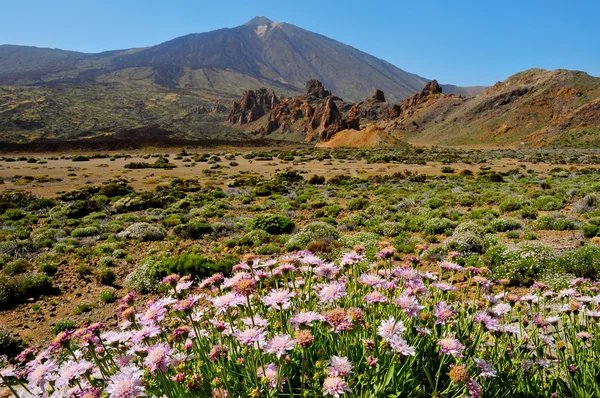 Monte Teide, en el Parque Nacional del Teide, Tenerife, Islas Canarias, S — Foto de Stock