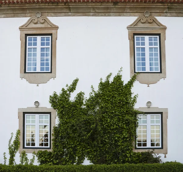Detalj av en herrgård i portugal — Stockfoto