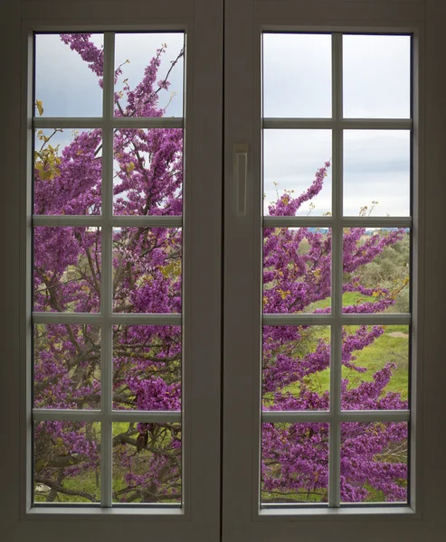 Vista através da janela — Fotografia de Stock