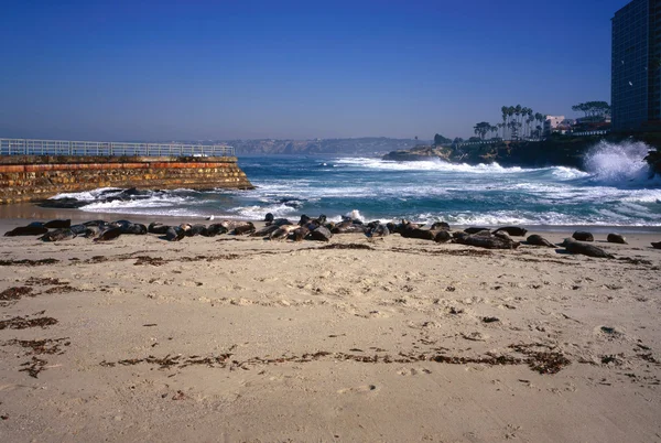 Seal beach, Californië — Stockfoto
