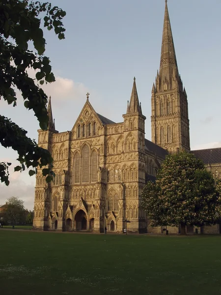 stock image Salizbury Cathedral