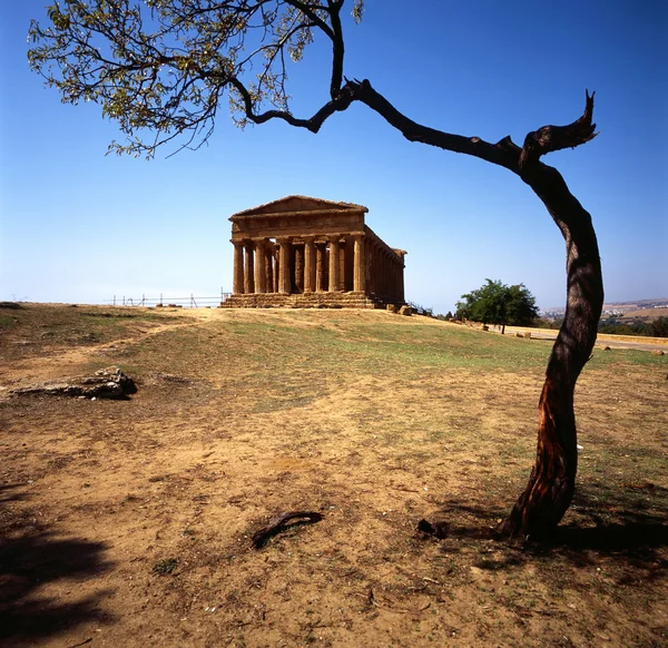 Yunan tapınağı — Stok fotoğraf