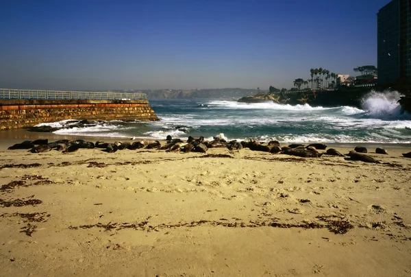 Seal beach, Kalifornie — Stock fotografie