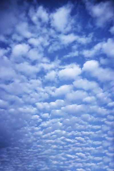 Nubes hinchadas — Foto de Stock
