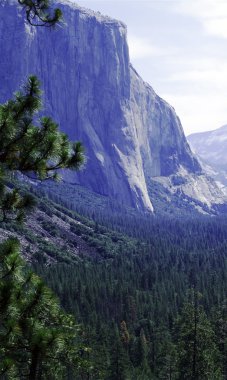 Yosemite Ulusal Parkı