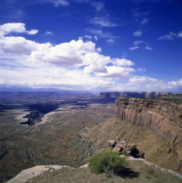 Canyonlands, Utah — Stok fotoğraf