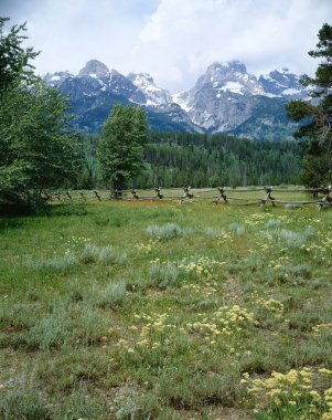 Grand Teton