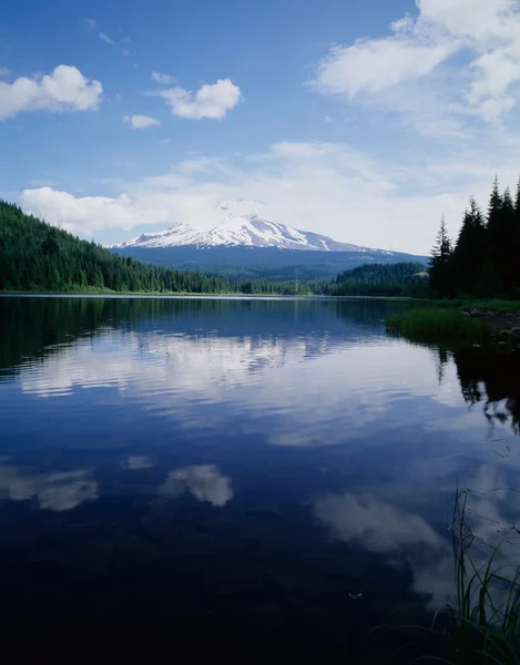 Mt.Hood, Oregon — Fotografie, imagine de stoc