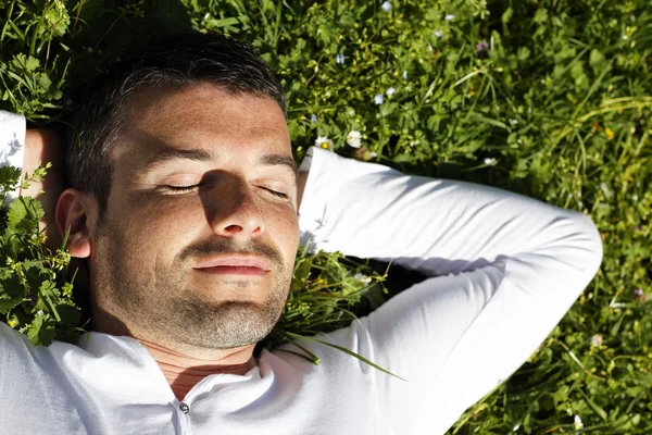 Spící v trávě — Stock fotografie