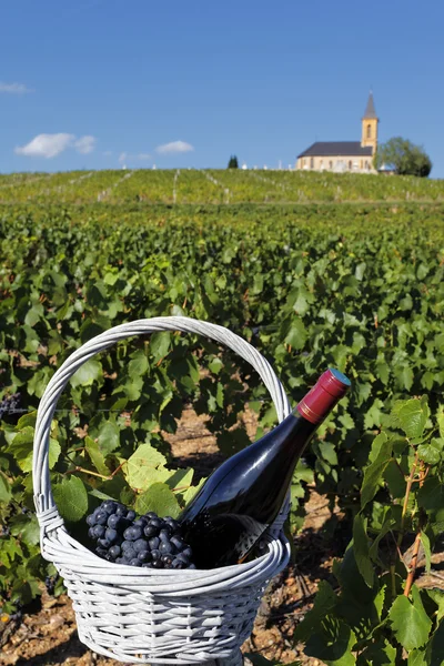 French wine — Stock Photo, Image
