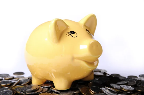 Piggybank på mynt — Stockfoto