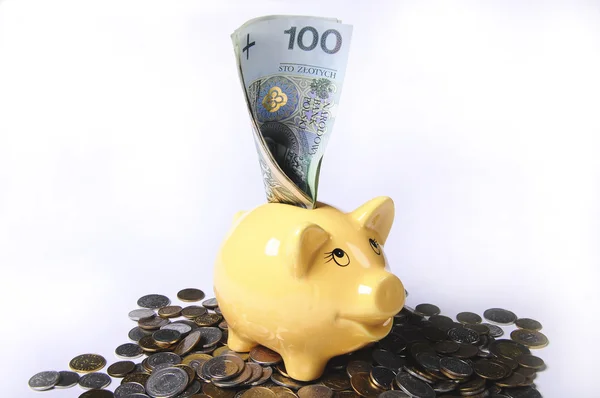 Piggybank com dinheiro — Fotografia de Stock