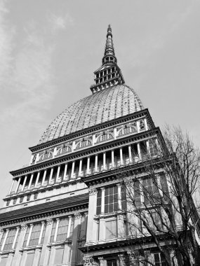 Mole antonelliana, Torino