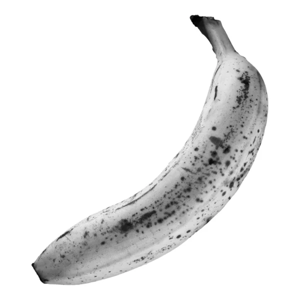 Banane isoliert — Stockfoto