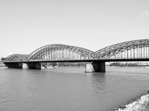 ライン川 — ストック写真