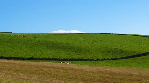 Cardross colina — Fotografia de Stock