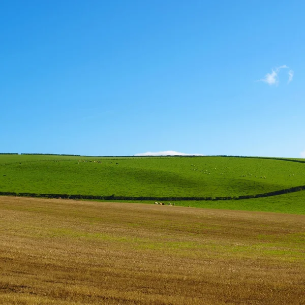 Cardross hill — Stok fotoğraf