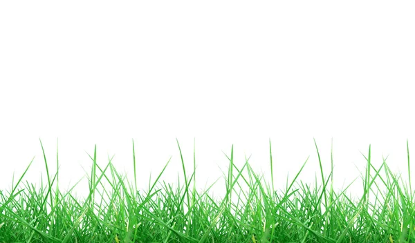 Trawa łąka chwastów — Zdjęcie stockowe