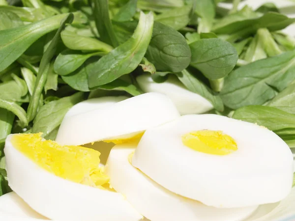 Salad detail — Stock Photo, Image