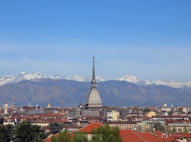 Turin görünümü