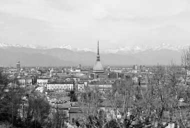 Turin view clipart