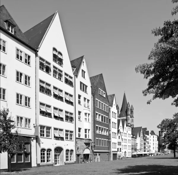 Kölner Sicht — Stockfoto