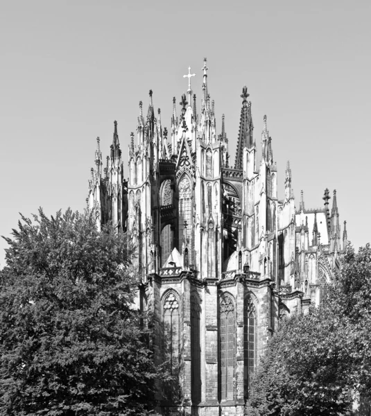 Koeln Cathedral — Stock Photo, Image