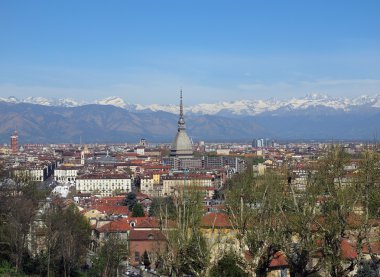 Turin görünümü