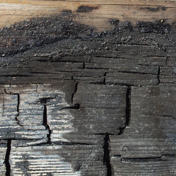 Yanık odun — Stok fotoğraf