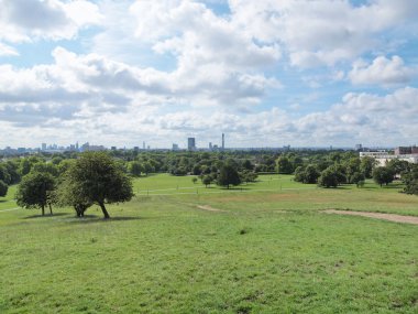 Primrose hill, Londra