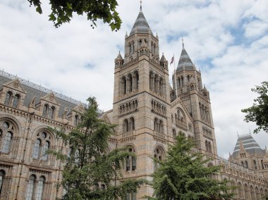 Doğal Tarih Müzesi, Londra, İngiltere