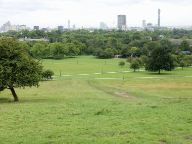 Primrose hill, Londra