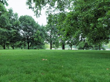 Kensington gardens, Londra