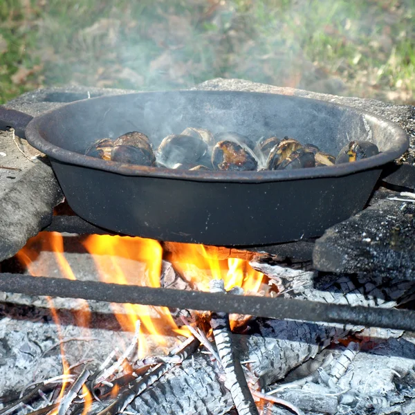 Barbecue — Photo
