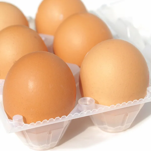 Many eggs — Stock Photo, Image