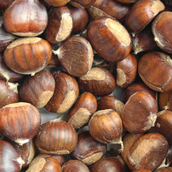 stock image Chestnuts