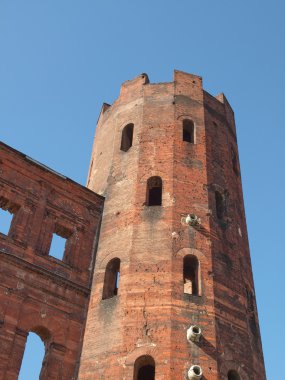 Torri palatine, Torino