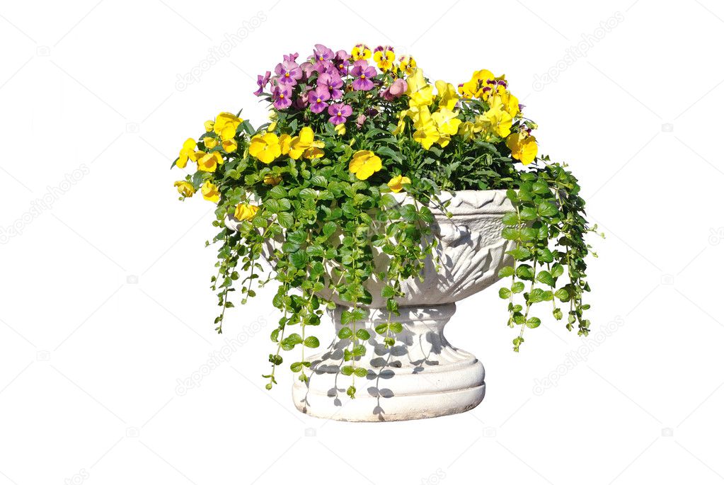 The white pot with yellow, pink and purple flowers
